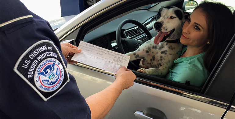 دپارتمان اقتصاد